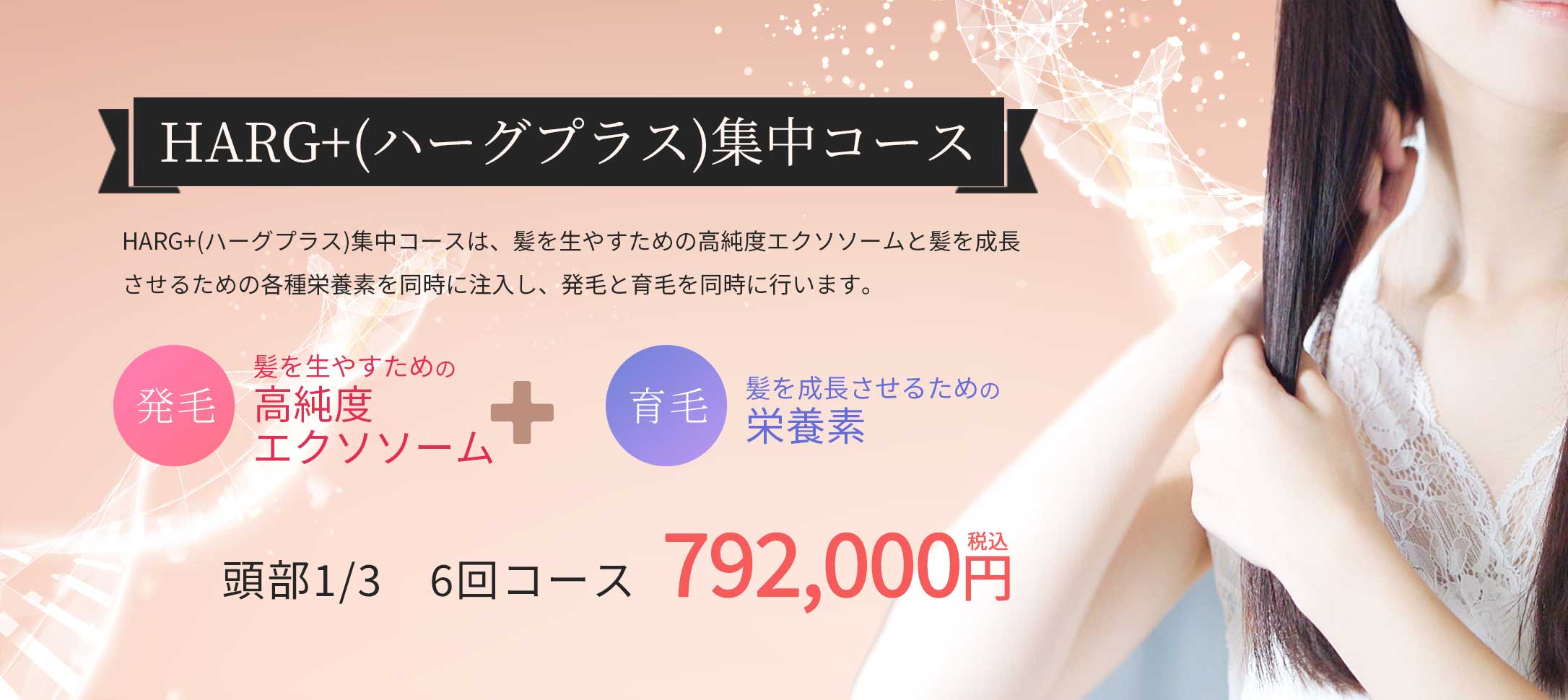 HARG+(ハーグプラス)集中コース!頭部1/3 6回コース 792,000円税込